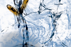 Bild-03.08.25-um-15.34